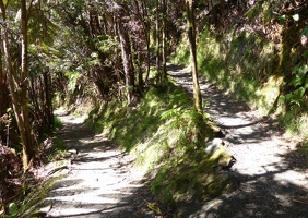 Switchback on path up from the Kilauea Iki trail